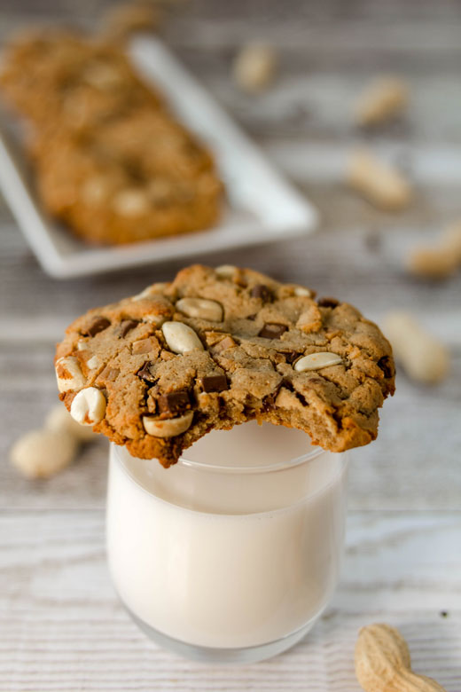 Cookies protéinés